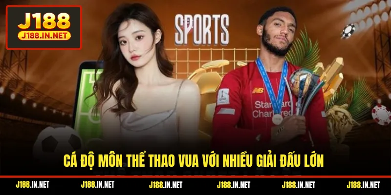 Cá độ môn thể thao vua với nhiều giải đấu lớn